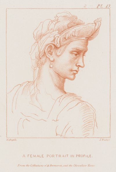 プロファイルの女性の肖像画 作： Michelangelo Buonarroti